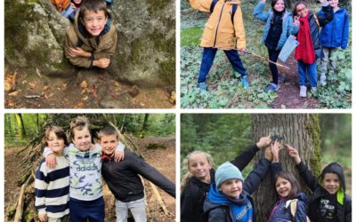 Sortie forêt cycle 2